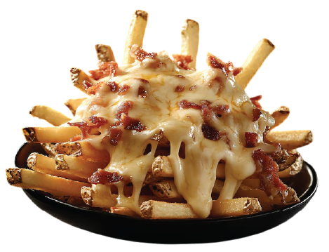 fries