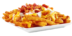 loaded fries